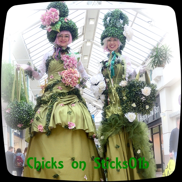 Green Flower Fairies chicks on sticks south yorkshire