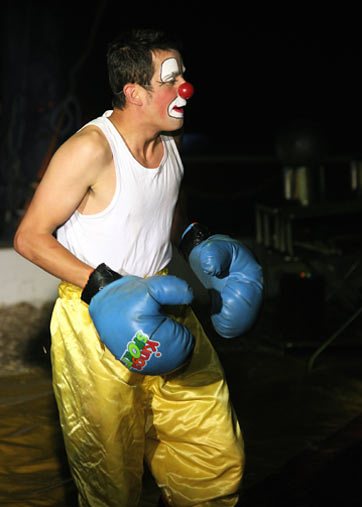 Clumbsy the Clown Boxer