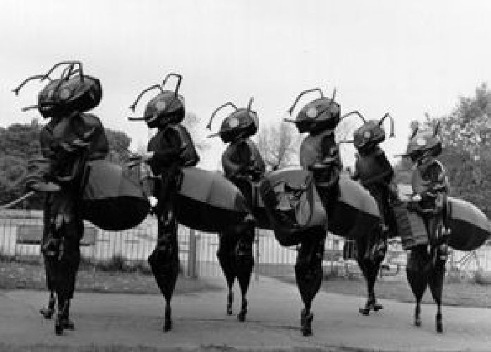 Giant Drumming Ants by Neighbourhood Watch Stilts International of Tyne & Wear