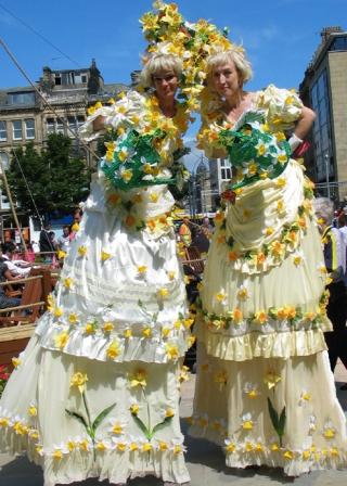 Daffodil stiltwalkers chicks on sticks south yorkshire