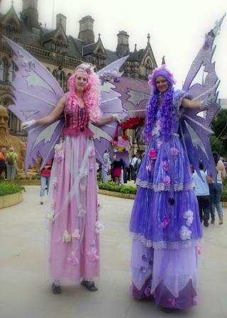 Flower Fairies chicks on sticks south yorkshire