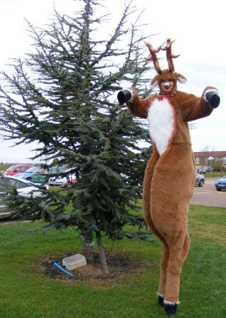 Reindeer on stilts by Sarah Shearer Teesside