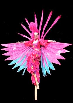 bird of paradise on stilts by Vertigo Stilts from Bristol