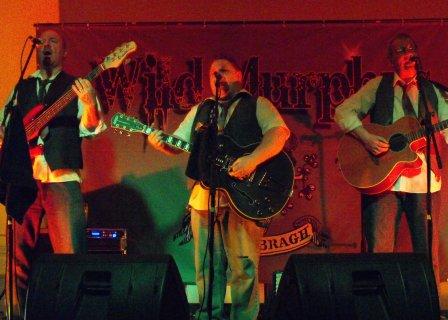 The Wild Murphy's Irish Band