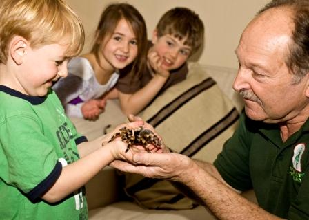 Animal Display